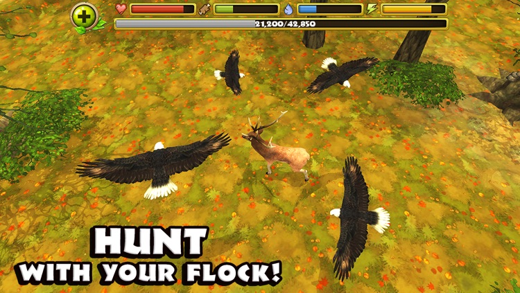 Eagle Simulator