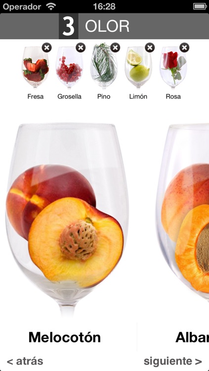 Wine Taste Experience