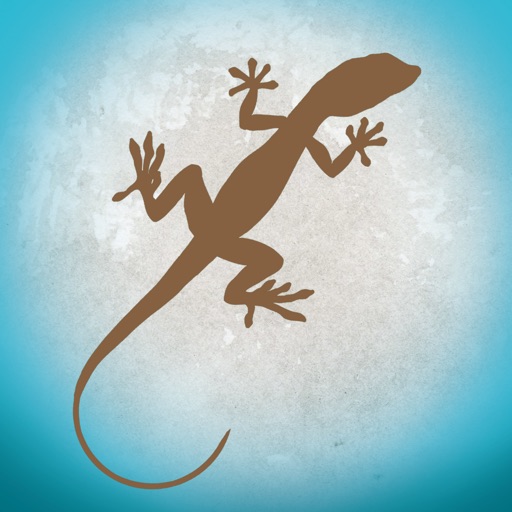 Lizard Island: Observation Light iOS App