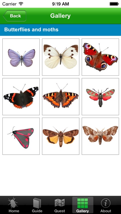 OPAL Bugs Count Pocket ID Guide screenshot-4