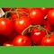 Find evidence-based information on individual ingredients such as herbs, vitamins, minerals, and other dietary supplements