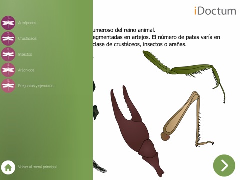 Biología: Animales – De los moluscos hasta los vertebrados screenshot 3