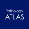 ATLAS OF PATHOLOGY And Comparison With Normal Anatomy