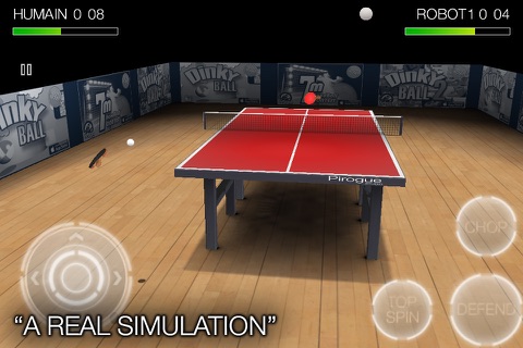 Pro Arena Table Tennis screenshot 2