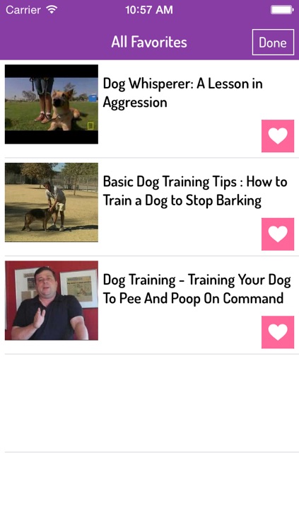 Dog Training Guide - Ultimate Video Guide
