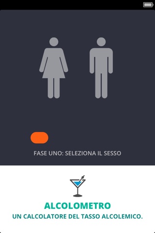 Alcoholmeter screenshot 2