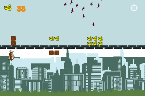 Мартышка Спринтер Games