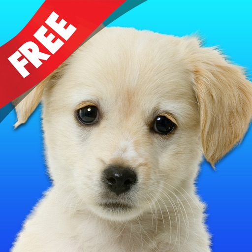 Free Teach me Pets Photo, Learn where the cat sleeps and what the dog eats iOS App