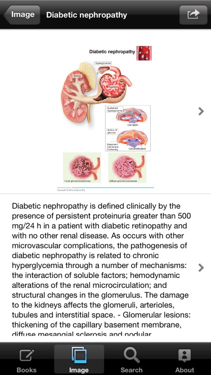 Miniatlas Diabetes Mellitus screenshot-4