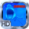 Shark Hunter Adventure Gold Pro