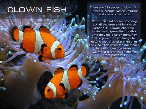 Kids Ocean Encyclopedia. Book and video for children. Sea life. screenshot 2