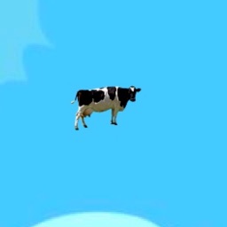 Cow Flying