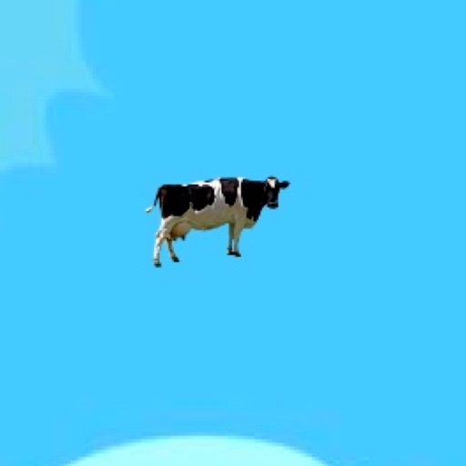 Cow Flying