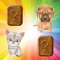Match Game for Toddlers and Kids : cats, dogs and puppies !