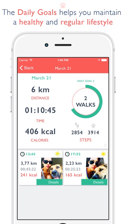 Dog Walking - Training with your Dog (GPS, Walking, Jogging, Running)