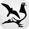 LEDESMA Bird Tracker is an application that enables the user to track their birds (Pigeons / Falcons / Other small pets), listen to their surrounding area, configure access to the GPS Tracker, enable geofences, speed alerts and low battery alerts