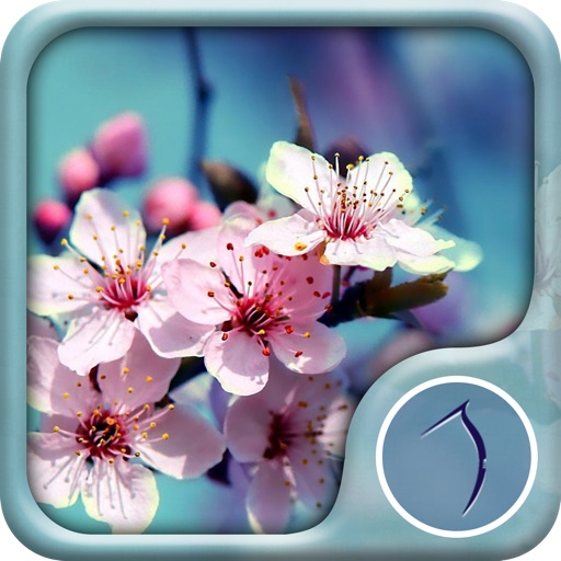 Flowers Wallpaper: Best HD Wallpapers iOS App