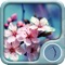 Flowers Wallpaper: Best HD Wallpapers