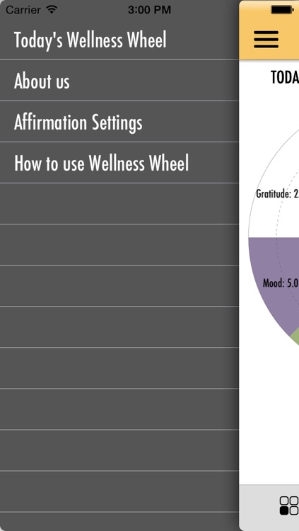 Wellness Wheel