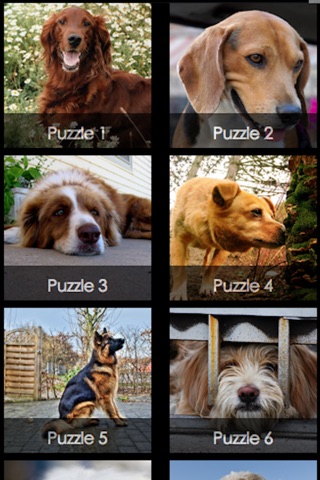 Dogs Puzzle HD.. screenshot 2