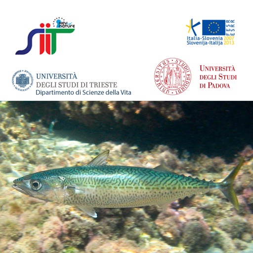 CLICK & fISH - Guida al riconoscimento dei pesci della Laguna di Venezia icon