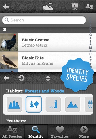 Birds PRO - NATURE MOBILE screenshot 3