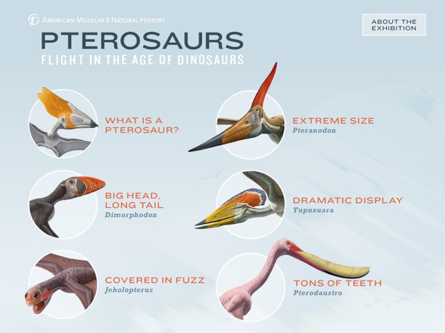 Pterosaurs: Flight in the Age of Dinosau