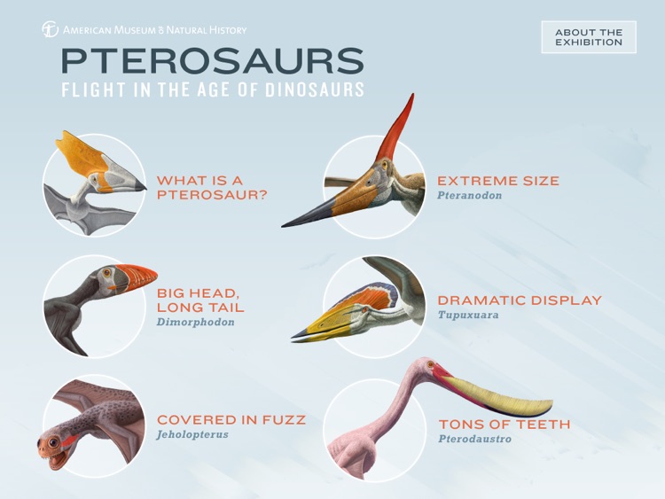 Pterosaurs: Flight in the Age of Dinosaurs