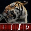 TigerShark Scientific Graphing Calculator