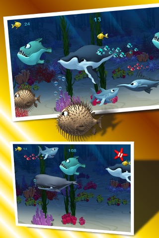 Funny Shark Game screenshot 4