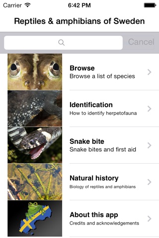 Reptiles and Amphibians of Sweden screenshot 3