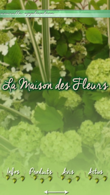 La Maison des Fleurs