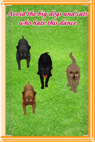 Cats and Dogs Twerk : The animal musical twerking to the beat - Free Edition screenshot 3