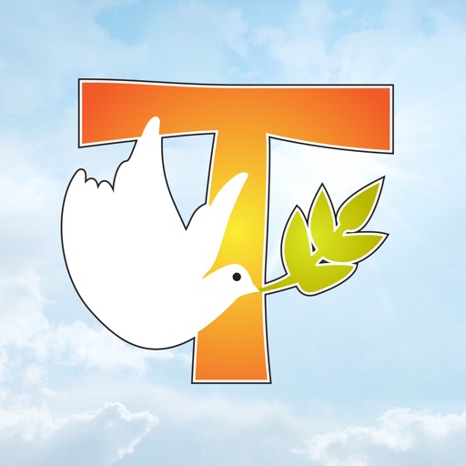 St Francis Xavier's Box Hill by Fraynework