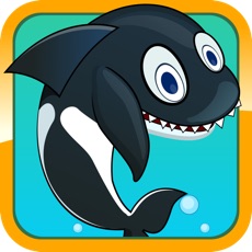 Activities of Sea Whale Splash