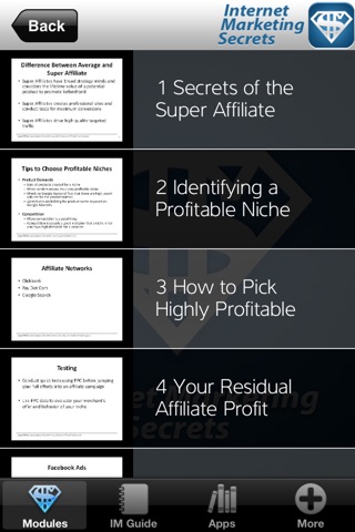 Internet Marketing Income PRO - Super Affiliate Millionaire Secrets screenshot 3