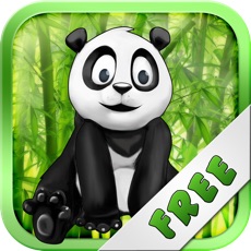 Activities of Panda Run In The Jungle Free - Can You Hop To The Finish?