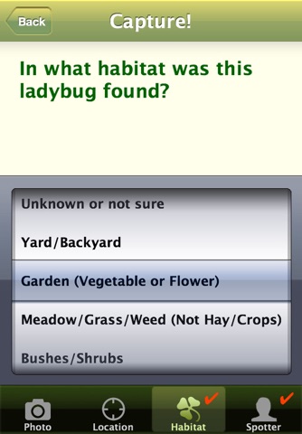 Lost Ladybug screenshot 3