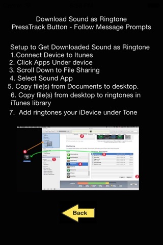 Bald Eagle 's - Bird Ringtones and Sound Effects, Alerts screenshot 2