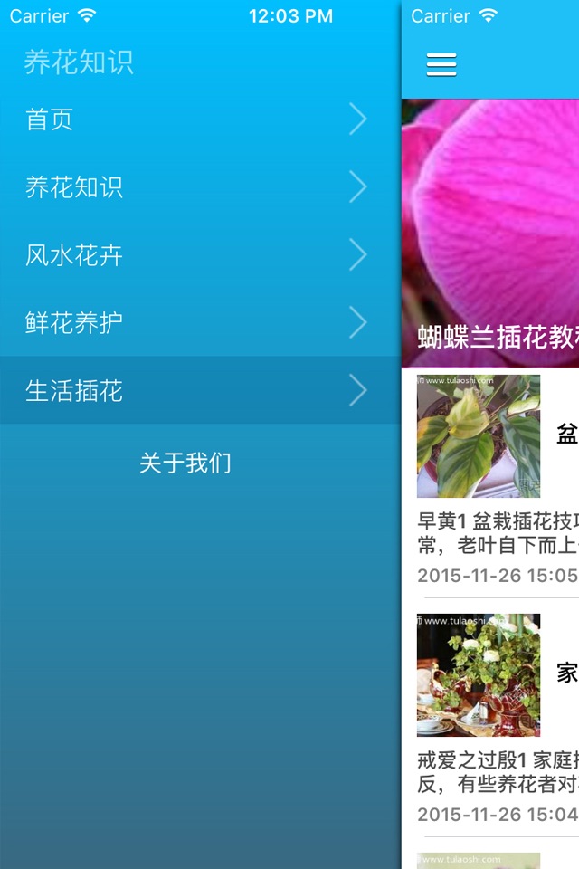 花卉多肉植物种植实用技法大全 - 新手养花知识实用指南 screenshot 2