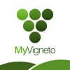 MyVigneto