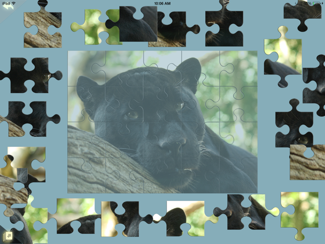 Kitty Cat Jigsaw Puzzles Book(圖3)-速報App