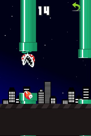 Super Flying Bird screenshot 4