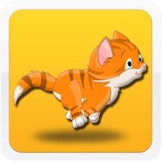 Activities of Cool Cat Adventure Race A Cute Kitty Jump Racing Game