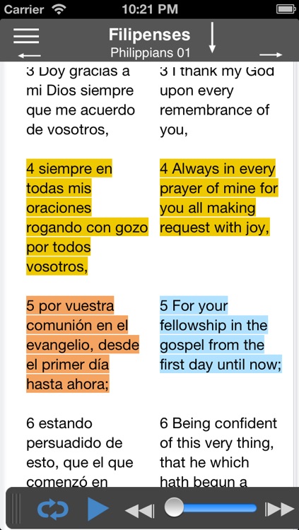 Santa Biblia Audio screenshot-3