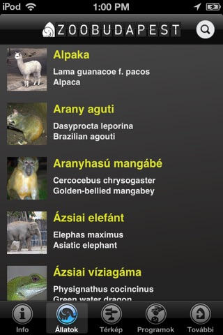 ZOOBUDAPEST screenshot 3