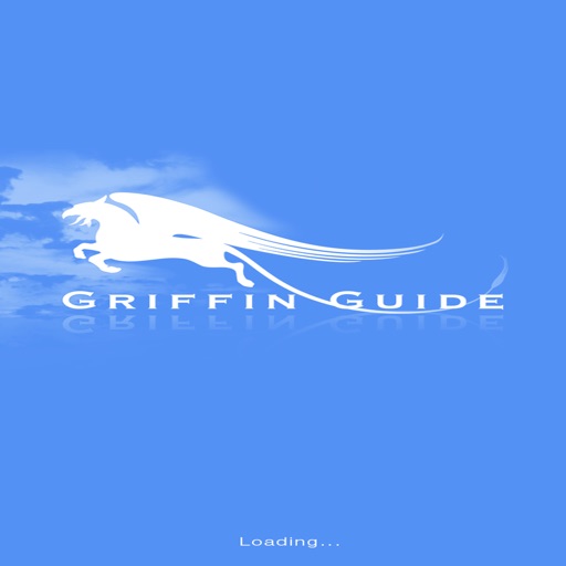 African Cities - Griffin Travel Guide