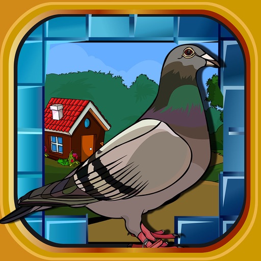 759 Pigeon Escape