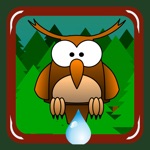 Forest on Fire help the owl