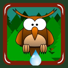 Activities of Forest on Fire (help the owl)